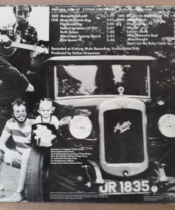 Alternative view of Stefan Grossman - Memphis Jellyroll (Guitar Instrumentals) (LP, Album) (Very Good (VG))