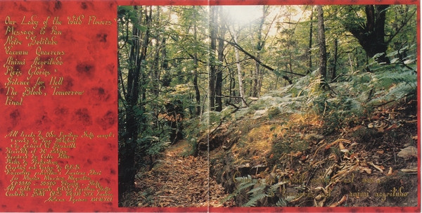 Ordo Equitum Solis - Animi Aegritudo (CD, Album) (Near Mint (NM or M-)) - Image 4