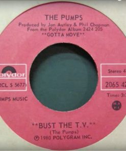 The Pumps (3) - Bust The T.V. / You're The One (7", Single) (Near Mint (NM or M-))