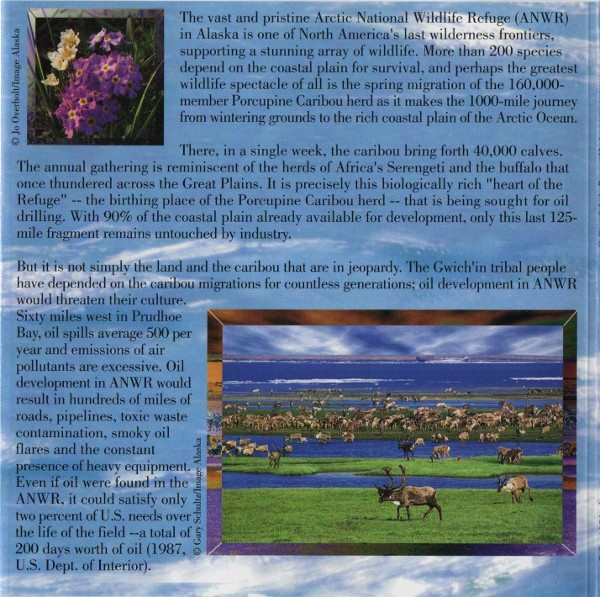 Various - Arctic Refuge (A Gathering Of Tribes) (CD, Comp) (Near Mint (NM or M-)) - Image 4