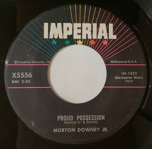 Sean Morton Downey Jr. - Proud Profession / Boulevard Of Broken Dreams (7") (Very Good Plus (VG+))