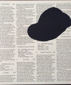 Owen Pallett - In Conflict (LP, Album, 180) (Very Good Plus (VG+))