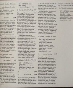 Alternative view of Owen Pallett - In Conflict (LP, Album, 180) (Very Good Plus (VG+))