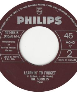 The Secrets (9) - The Boy Next Door (7", Single, Mono) (Near Mint (NM or M-))