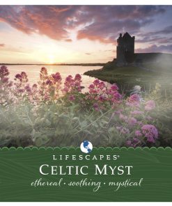 Chris Beaty (3) - Celtic Myst (CD, Album) (Near Mint (NM or M-))