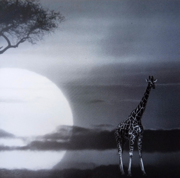 Unknown Artist - Natural Dreams - Music For Relaxation: Africa Awakens (CD, Album) (Near Mint (NM or M-)) - Image 5