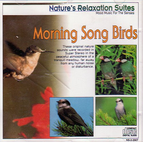 Klaus Back & Tini Beier - Morning Song Birds (CD) (Near Mint (NM or M-))