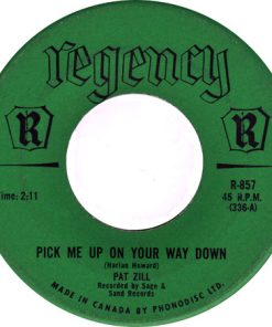 Pat Zill - Pick Me Up On Your Way Down (7", Single) (Near Mint (NM or M-))