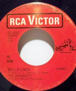 The Grass Roots - Bella Linda / Hot Bright Lights (7", Single, M/Print) (Near Mint (NM or M-))