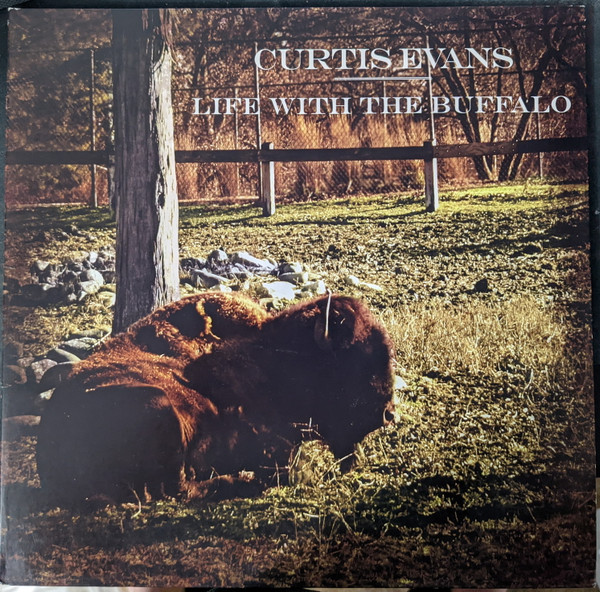 Curtis Evans (2) - Life With the Buffalo (LP) (Very Good Plus (VG+))