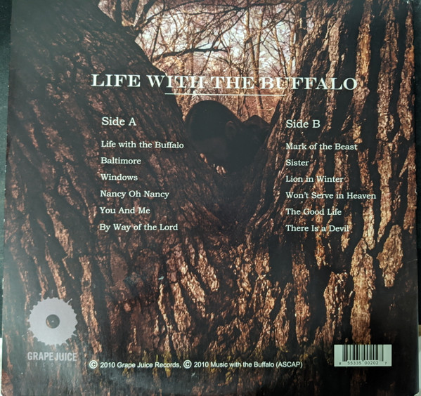 Curtis Evans (2) - Life With the Buffalo (LP) (Very Good Plus (VG+)) - Image 4