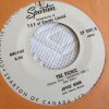 Joyce Hahn - The Picnic / I Cried And Cried (7", Promo, TCF) (Very Good (VG))