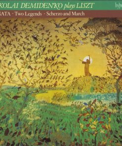 Nikolai Demidenko Plays Liszt* - Sonata • Two Legends • Scherzo And March (CD) (Near Mint (NM or M-))