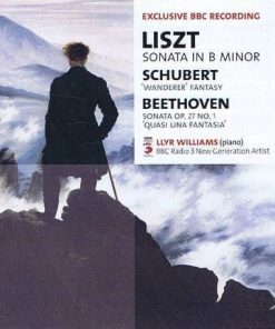 Franz Liszt / Franz Schubert / Ludwig van Beethoven - Llyr Williams - Sonata In B Minor / 'Wanderer' Fantasy / Sonata Op. 27 No. 1 'Quasi Una Fantasia' (CD) (Near Mint (NM or M-))