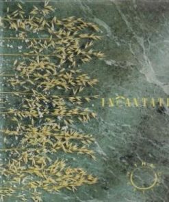Incantation (2) - The Meeting (LP, Album) (Very Good Plus (VG+))