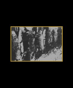 Various - Ancient Meat Revived / A Tribute To Cold Meat Industry (LP, Comp, Ltd) (Very Good Plus (VG+))