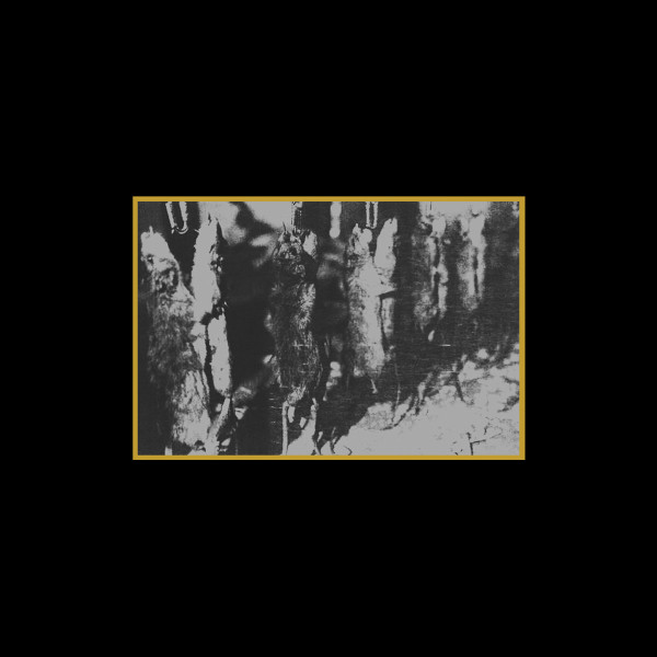 Various - Ancient Meat Revived / A Tribute To Cold Meat Industry (LP, Comp, Ltd) (Very Good Plus (VG+))