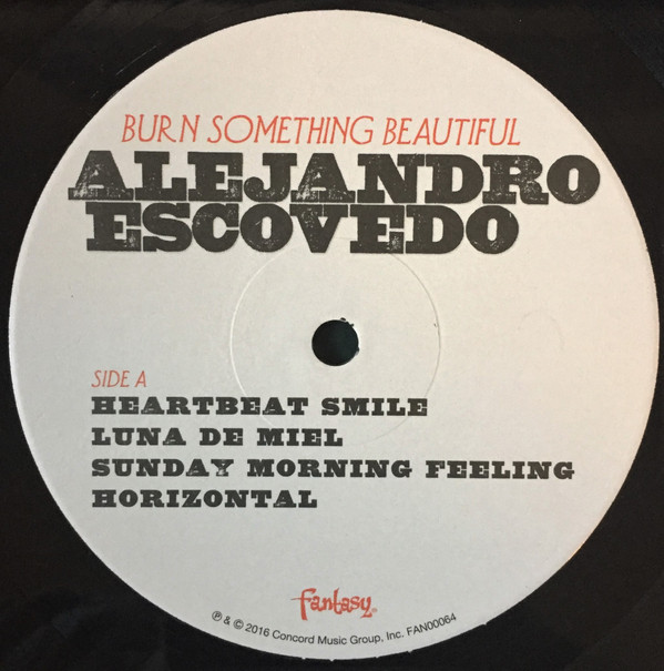 Alejandro Escovedo - Burn Something Beautiful (2xLP, Album) (Very Good Plus (VG+)) - Image 3