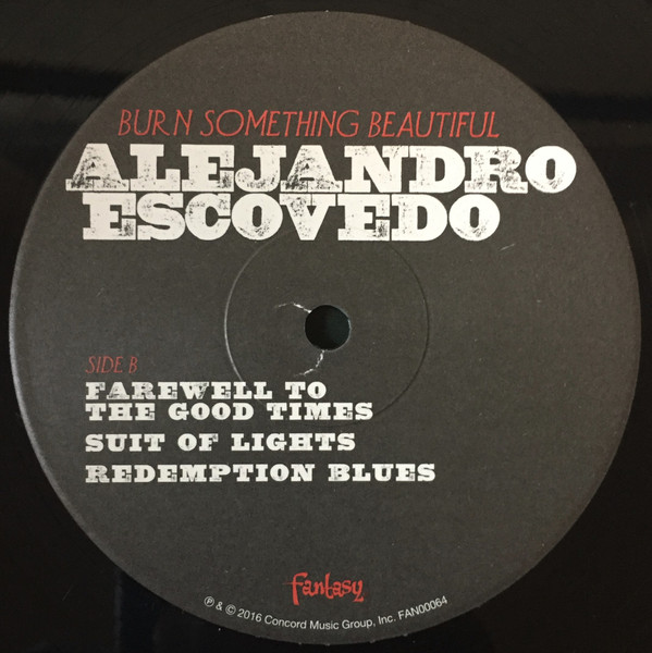 Alejandro Escovedo - Burn Something Beautiful (2xLP, Album) (Very Good Plus (VG+)) - Image 4