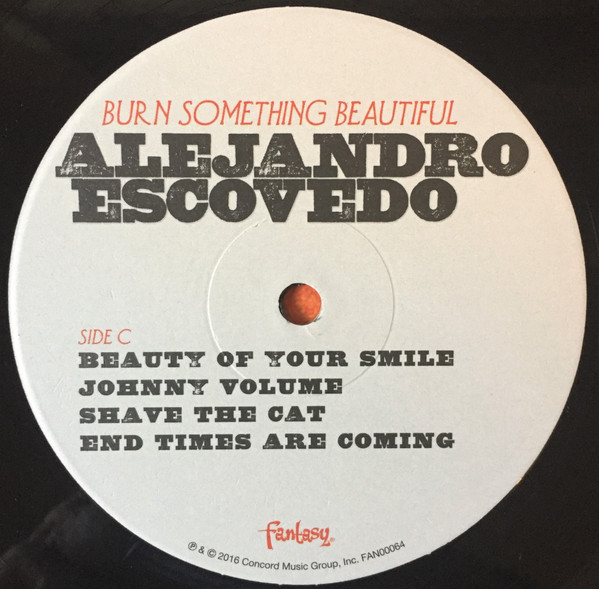 Alejandro Escovedo - Burn Something Beautiful (2xLP, Album) (Very Good Plus (VG+)) - Image 5