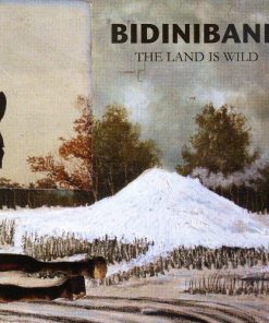 Bidiniband - The Land Is Wild (CD, Album) (Mint (M))