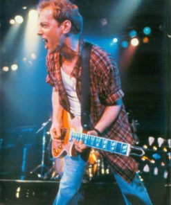 Peter Frampton - Frampton Comes Alive II (DVD-V, RE, NTSC) (Mint (M))