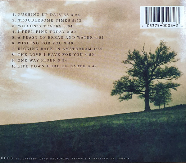 Kevin Welch - Life Down Here On Earth (CD, Album) (Near Mint (NM or M-)) - Image 2