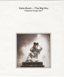 Kate Bush - The Big Sky (Special Single Mix) (7", Single) (Very Good Plus (VG+))