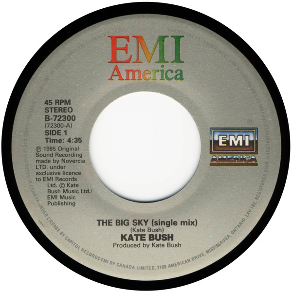Kate Bush - The Big Sky (Special Single Mix) (7", Single) (Very Good Plus (VG+)) - Image 4