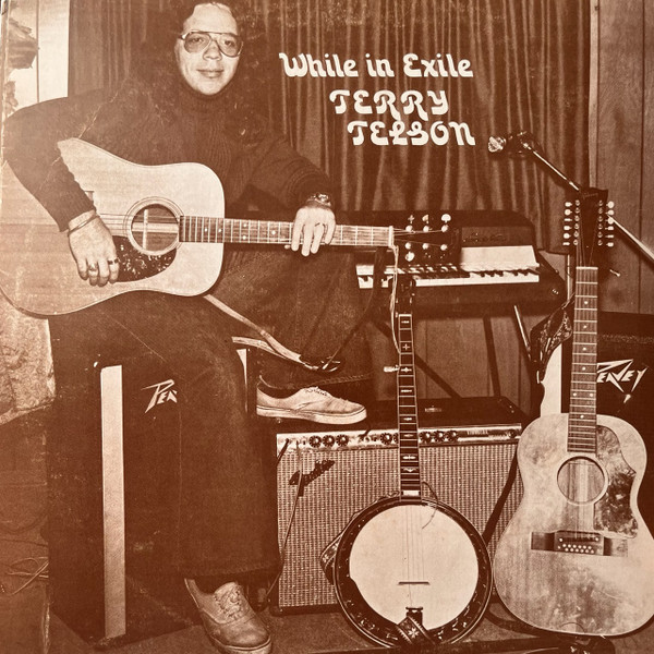 Terry Telson - While In Exile (LP, Ltd, RE, RM) (Mint (M))