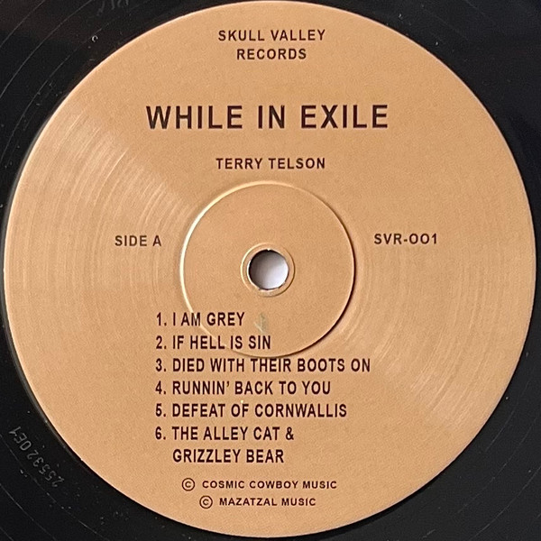 Terry Telson - While In Exile (LP, Ltd, RE, RM) (Mint (M)) - Image 3