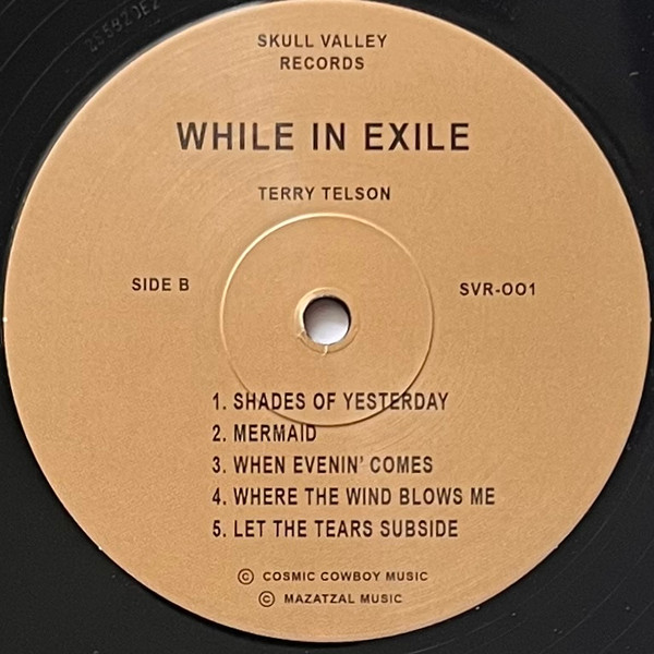 Terry Telson - While In Exile (LP, Ltd, RE, RM) (Mint (M)) - Image 4