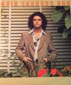 David Sanborn Band - Promise Me The Moon (LP, Album) (Very Good Plus (VG+))