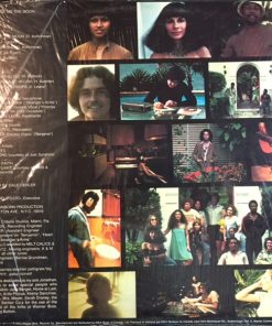Alternative view of David Sanborn Band - Promise Me The Moon (LP, Album) (Very Good Plus (VG+))