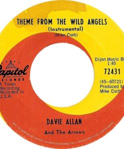 Davie Allan And The Arrows* - Theme From The Wild Angels (7") (Very Good (VG))