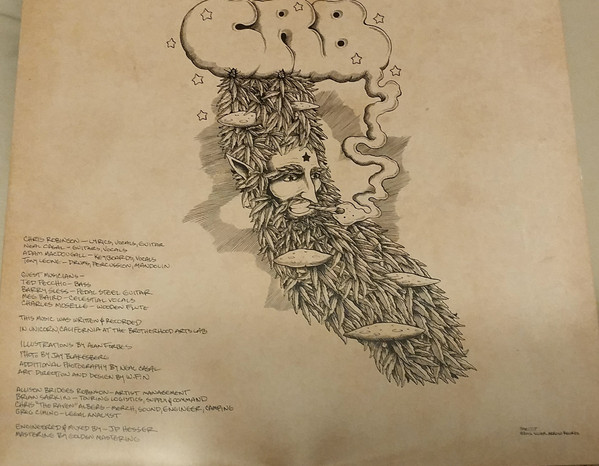 The Chris Robinson Brotherhood - If You Lived Here, You Would Be Home By Now (12", EP) (Very Good Plus (VG+)) - Image 4