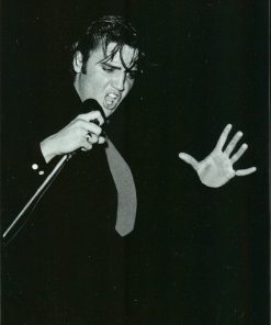 Elvis* - The King Of Rock 'N' Roll: The Complete 50's Masters (5xCD, Comp + Box) (Near Mint (NM or M-))