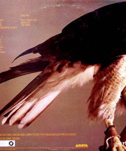 Dave Valentin-3