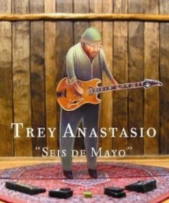 Trey Anastasio-9
