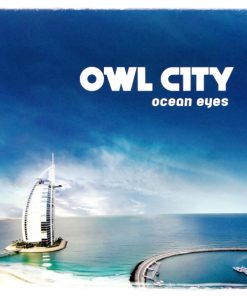 Owl City-9