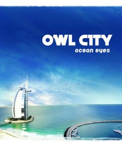 Owl City-8