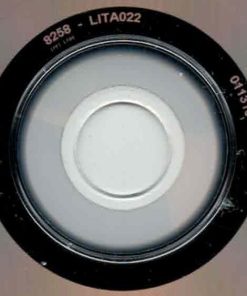 Karen Dalton-3