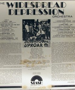 The Widespread Depression Orchestra-1