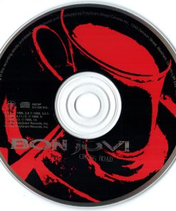 Bon Jovi-7