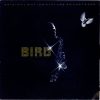 Bird (28)-0