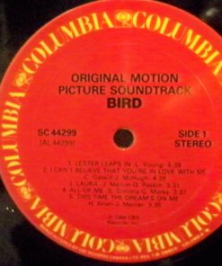 Bird (28)-2