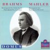 Johannes Brahms / Gustav Mahler - Domus Quartett-0
