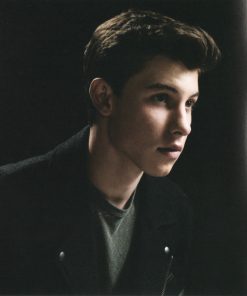 Shawn Mendes-2