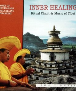 Monks of the Nyanang Phelgyeling Monastery-0