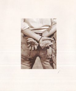 Renaud-3